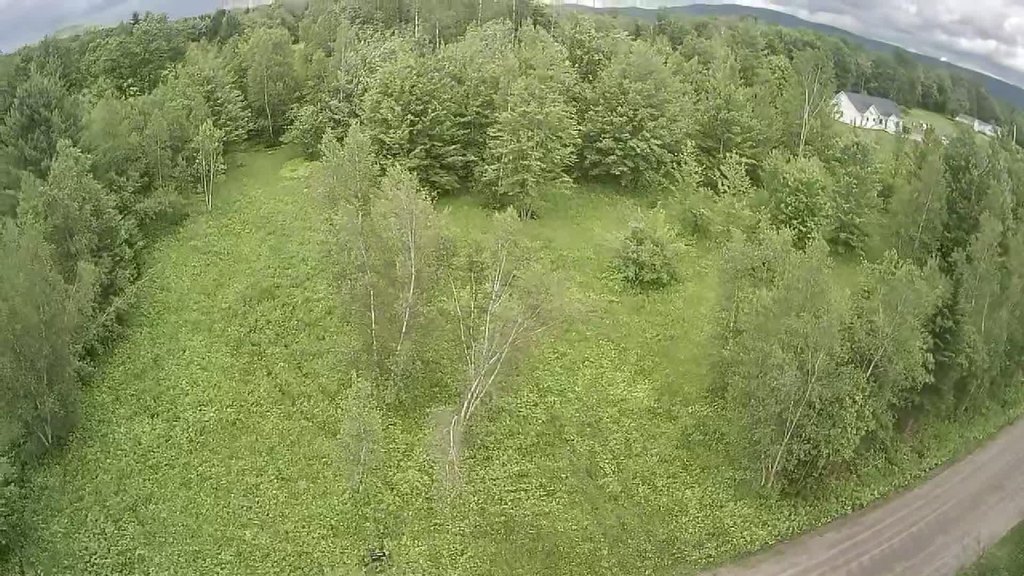 Picture 14