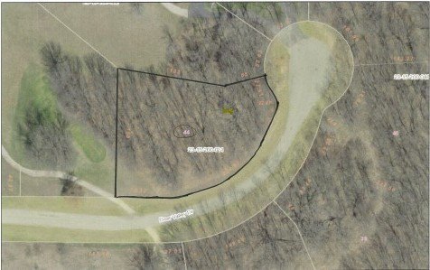Wooded Lot in Deer Grove