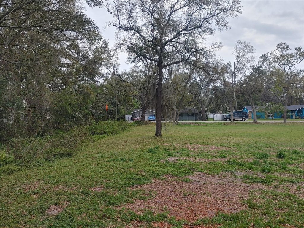 Picture 17