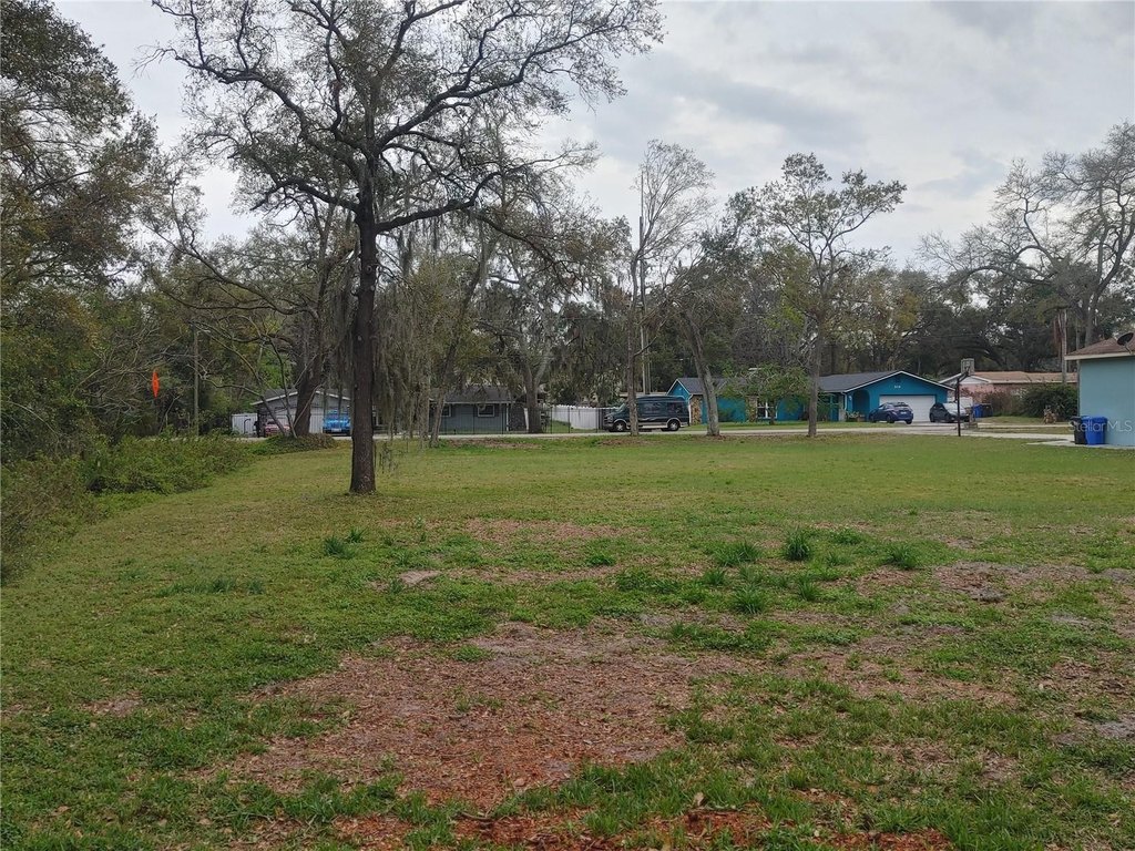Picture 16
