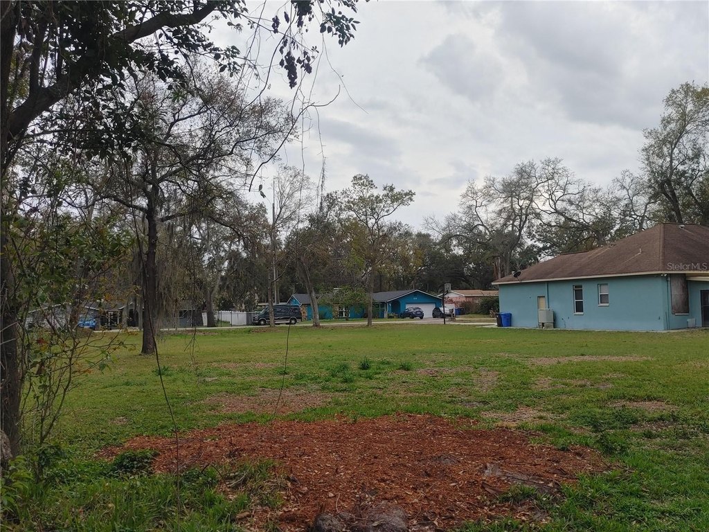 Picture 15