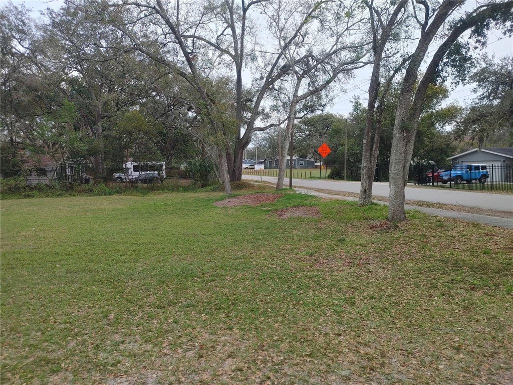 Picture 12
