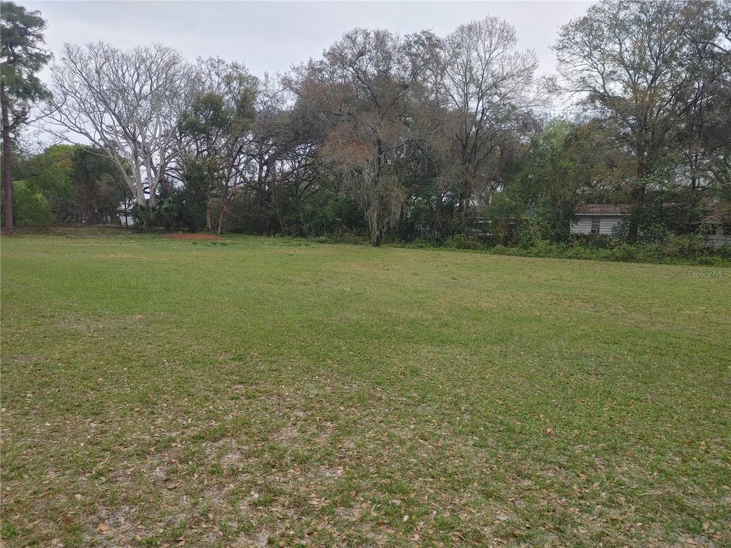 Picture 11