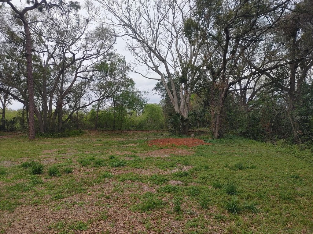 Picture 19