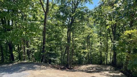 Land, Sevierville, TN
