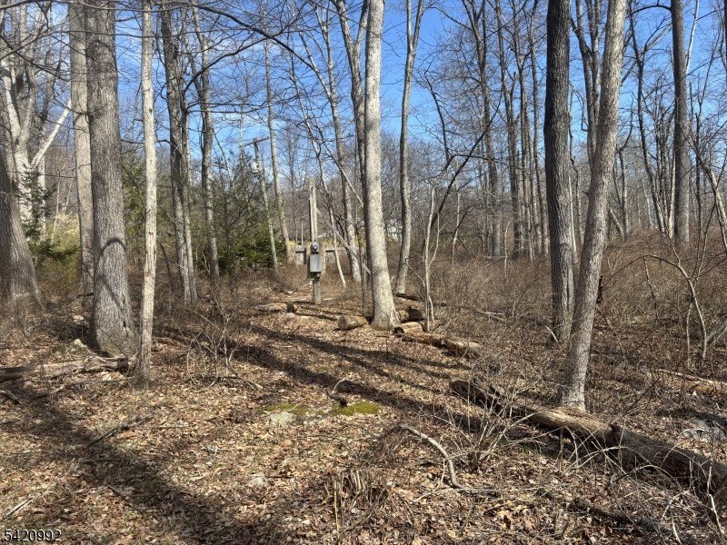 Picture 8