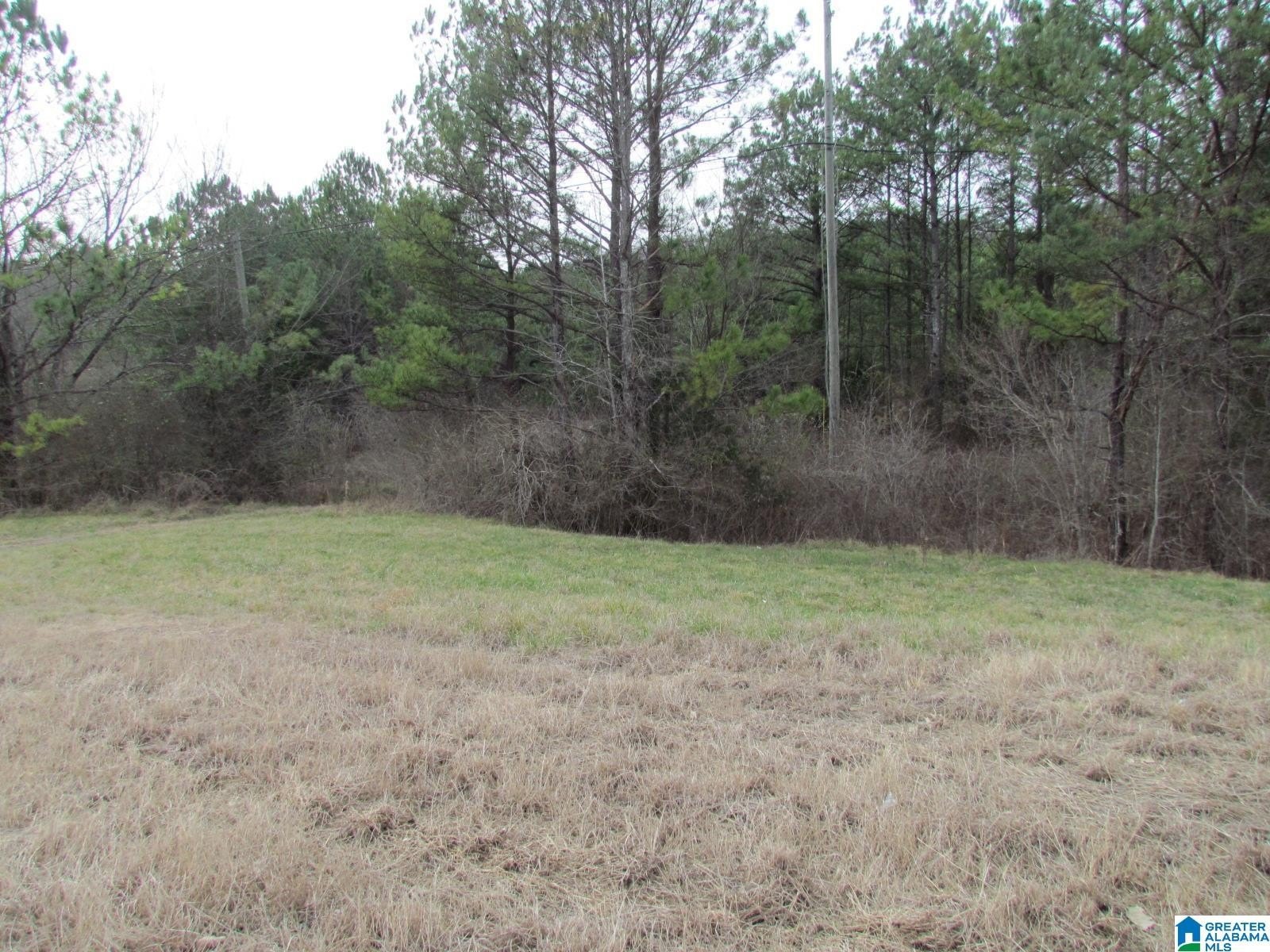 Highway Frontage Vacant Land