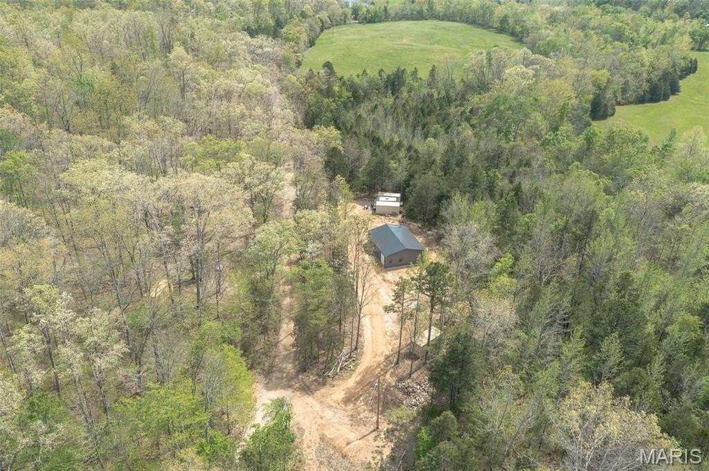 Picture 2