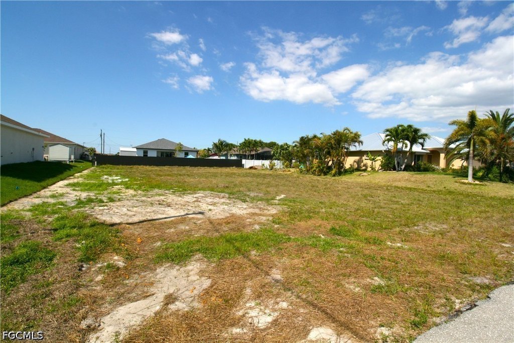 Picture 5