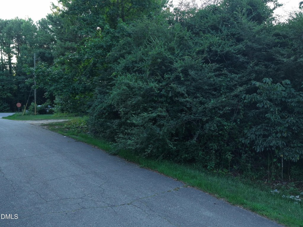 Picture 3
