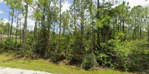 Land, Punta Gorda, FL