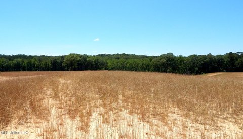 Grenada Lake Area Land