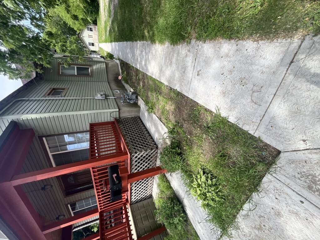 Picture 4