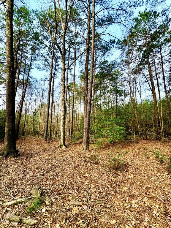 Picture 4