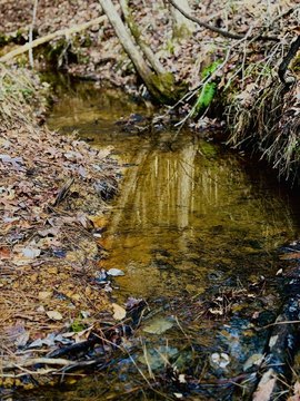 Recreational Land Tract with Creek