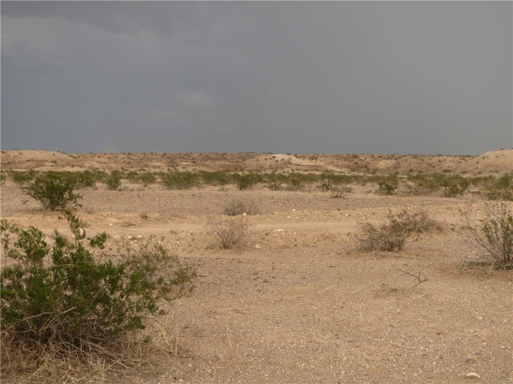 Picture 3