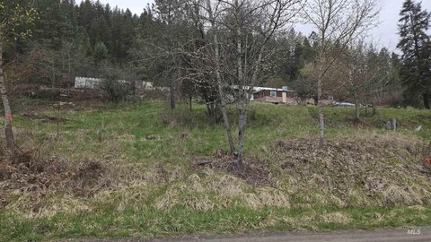 Buildable Lot in Peck, Idaho