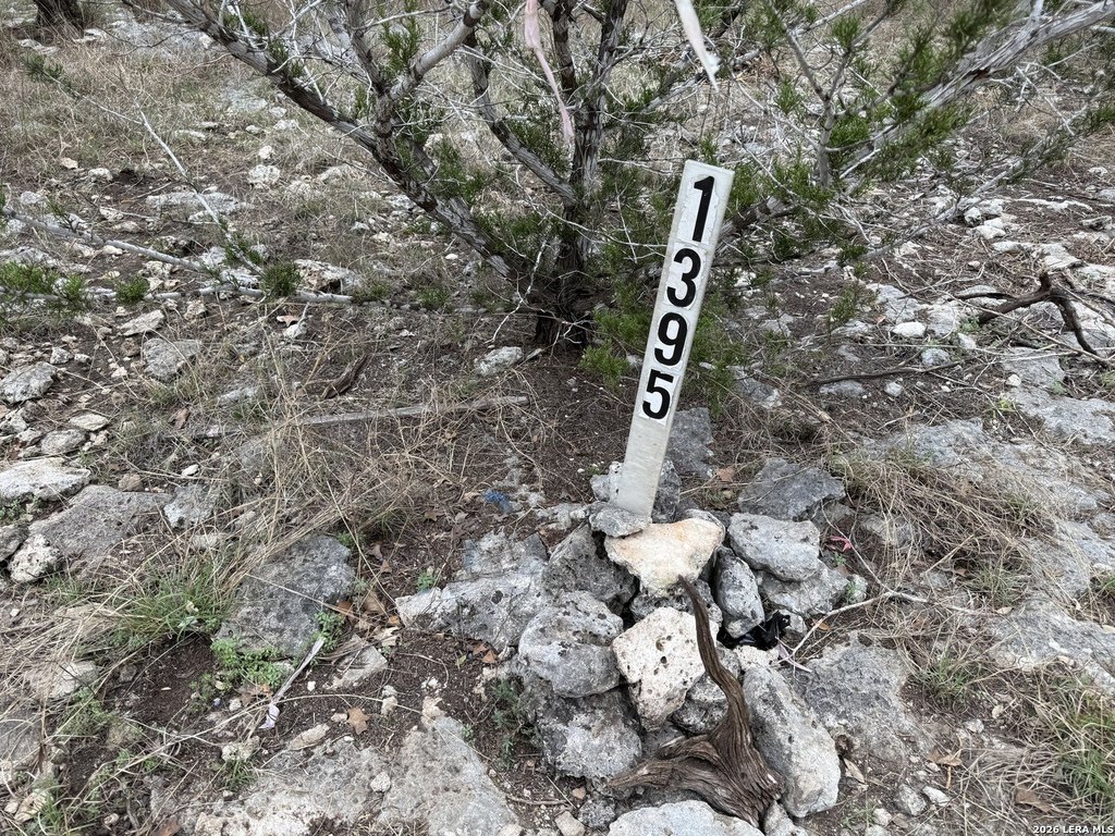 Picture 19