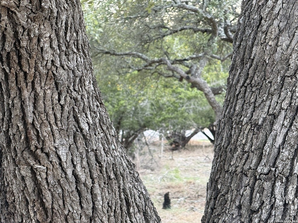 Picture 24