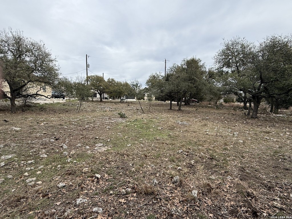 Picture 17