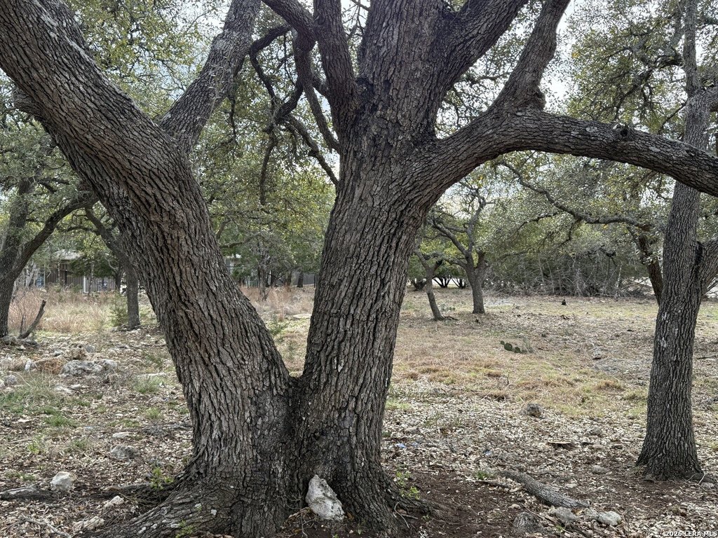 Picture 14