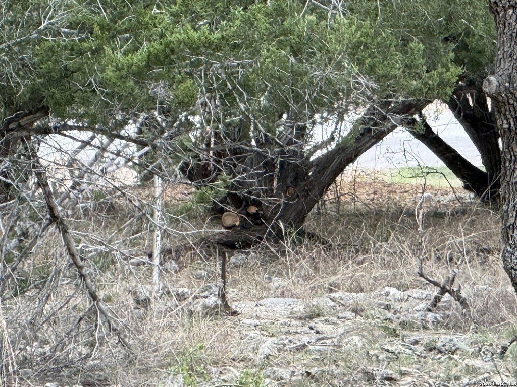 Picture 22