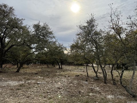 Residential Land in Blanco, Texas