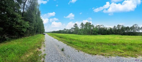 Land, Walker, LA