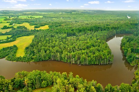 Wooded Waterfront Recreational Land