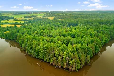 Wooded Waterfront Recreational Land