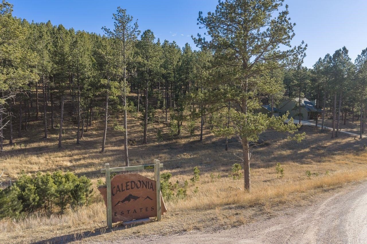 Custer Treed Lot Near Forest