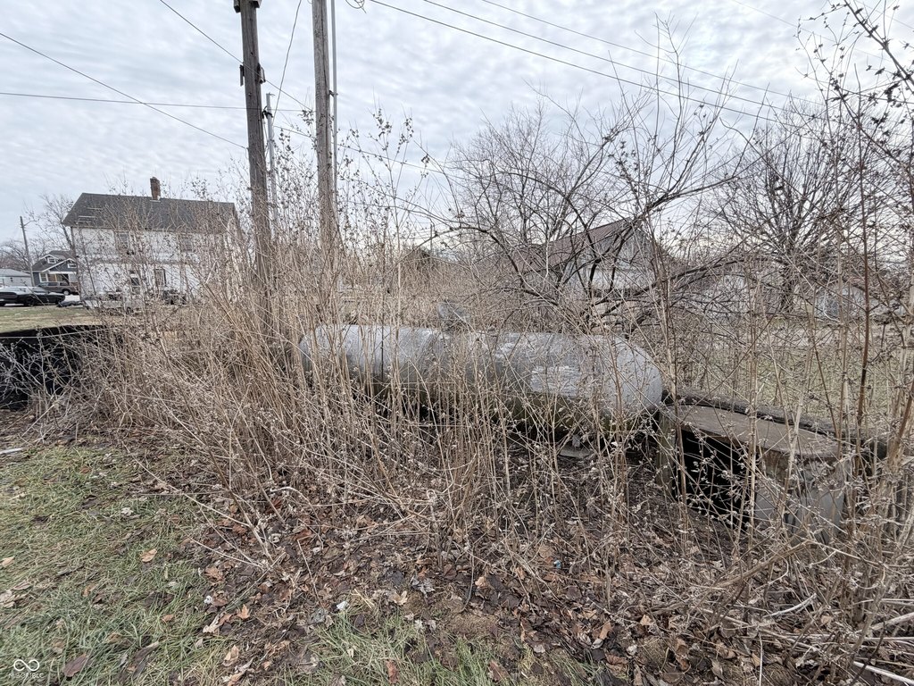 Picture 7