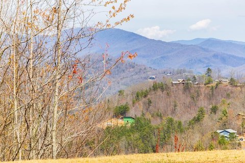 Land with Mountain Views