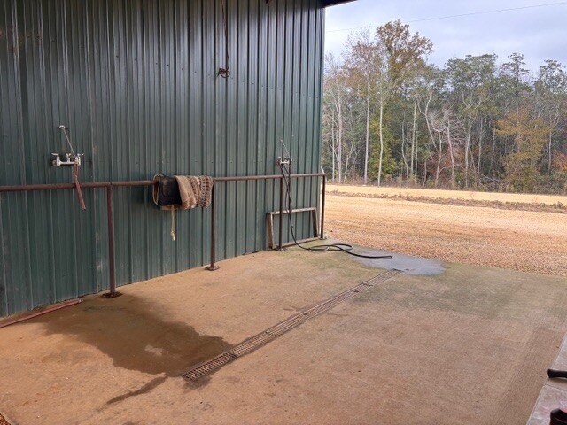 Picture 6