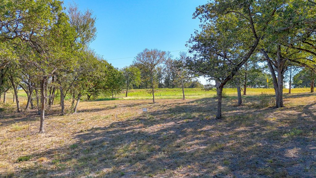 Picture 16