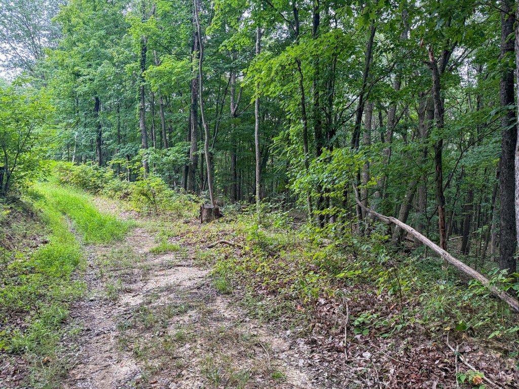 Picture 21
