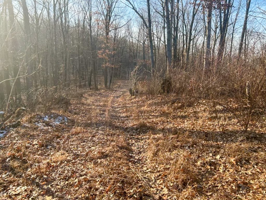 Picture 36