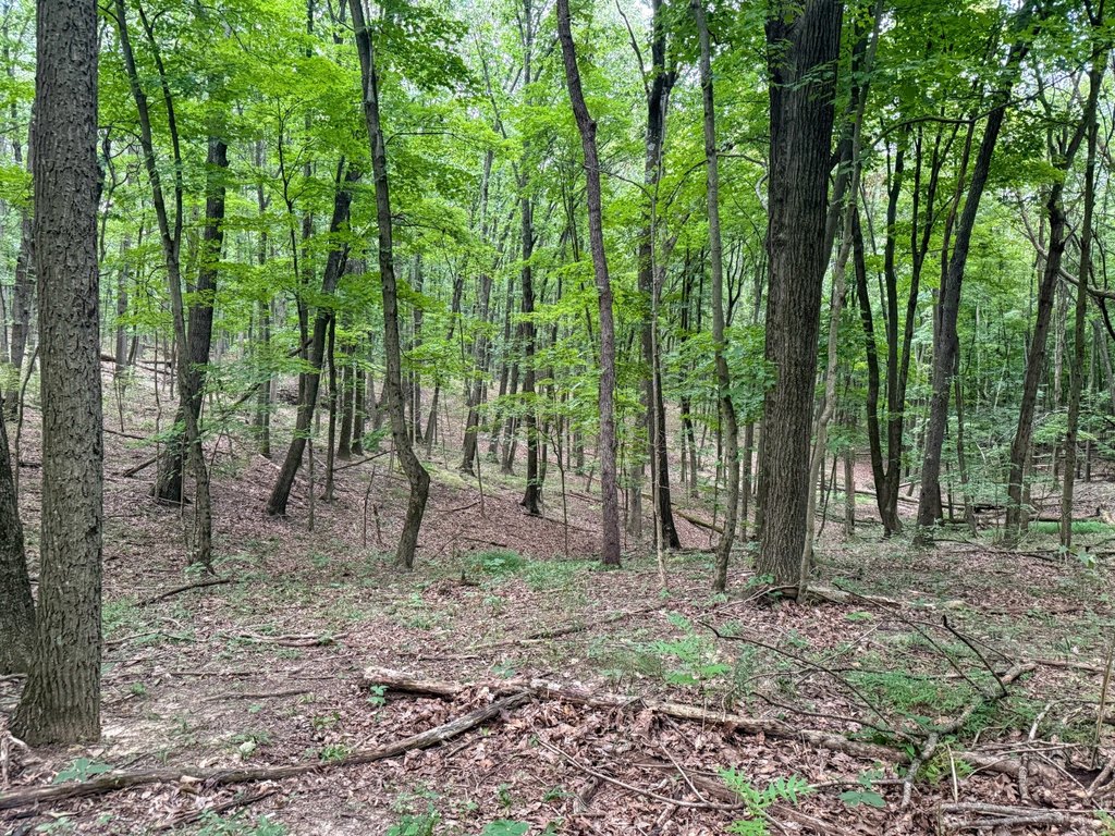Picture 23