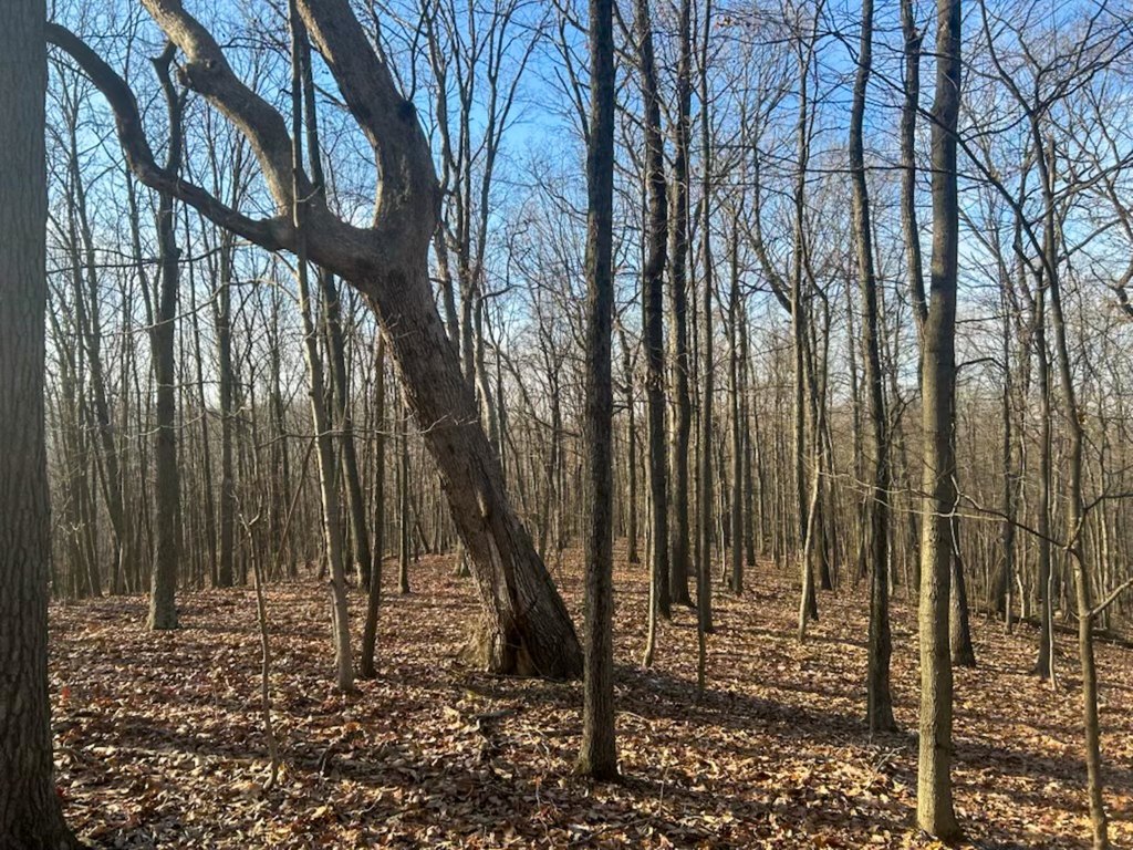 Picture 33