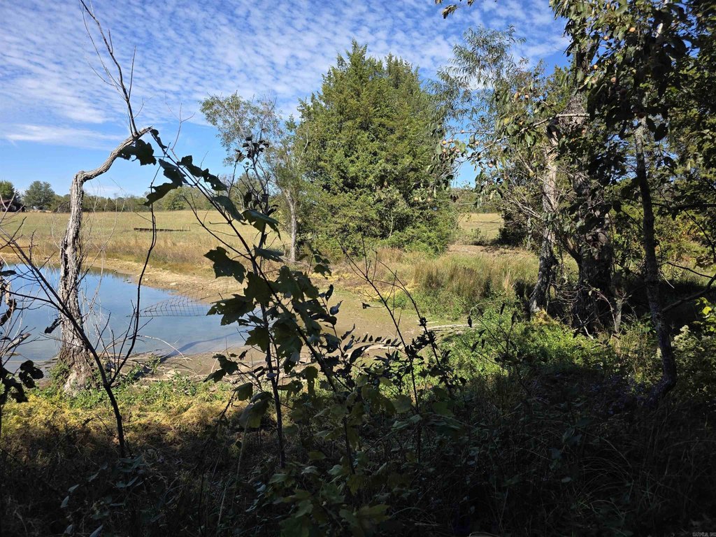 Picture 18