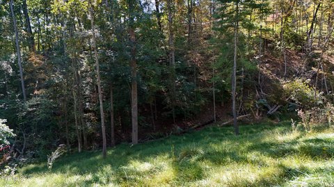 Land, Bristol, TN