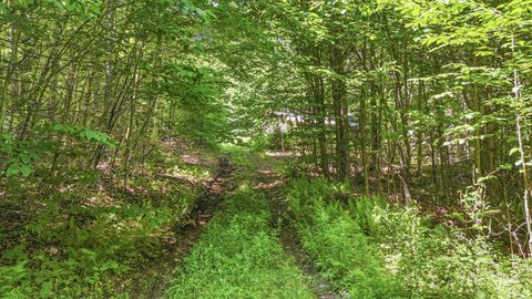 50 Acres Adirondack Wilderness Retreat