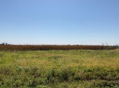 Industrial Land with Interstate Access