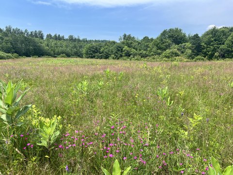 Bethel Land on Route 26
