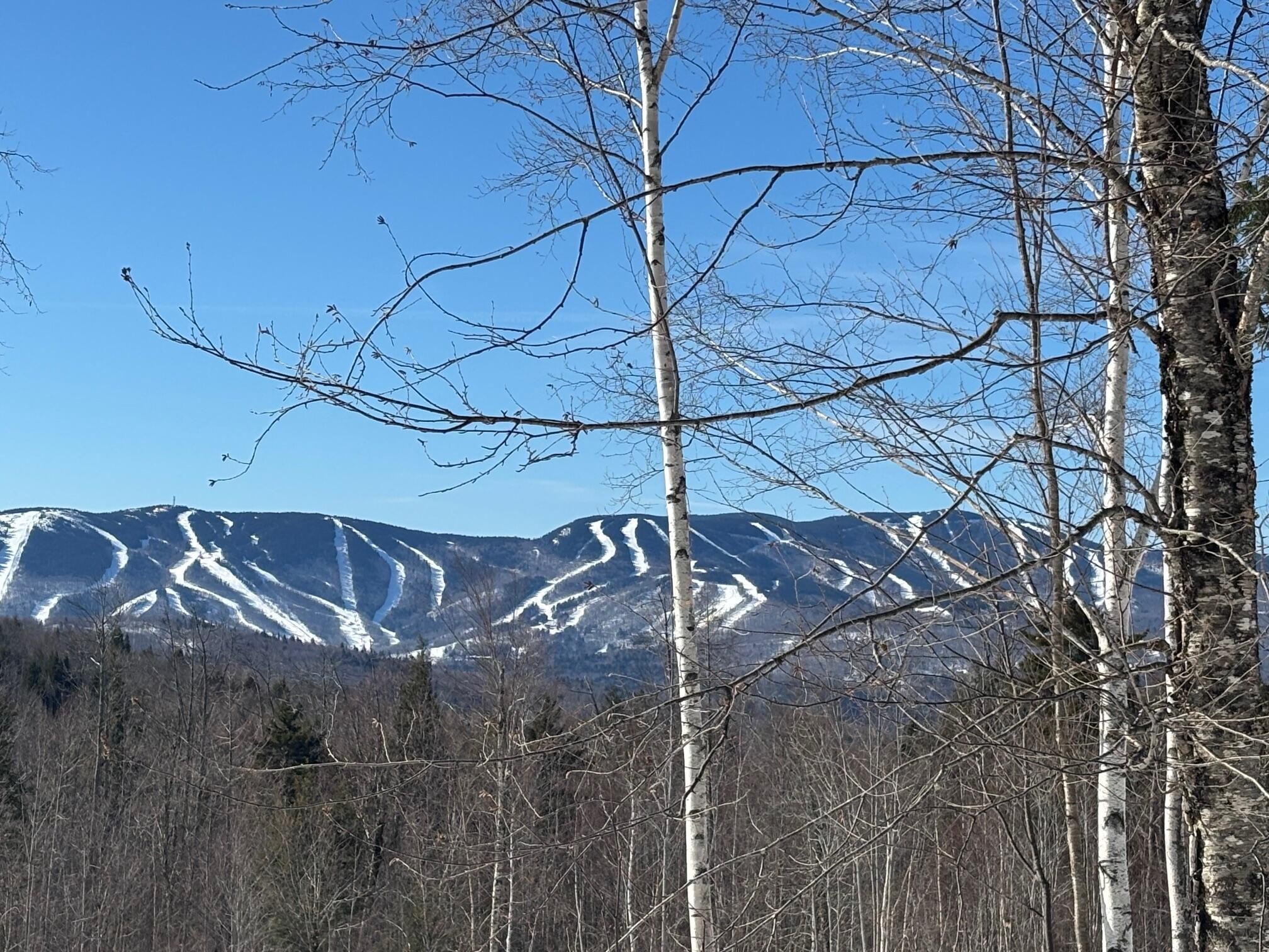 Land with Mountain Views