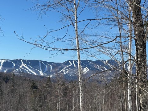 Land with Mountain Views
