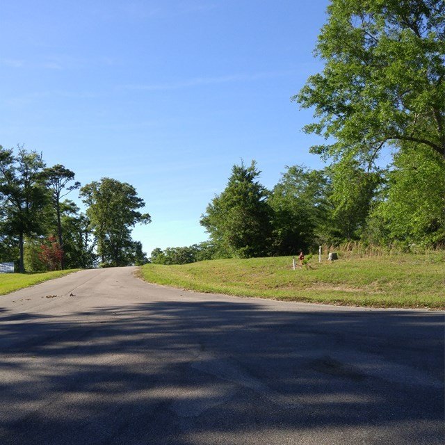 Picture 3