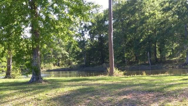 Picture 5