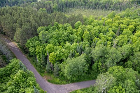 Presque Isle Wooded Lot