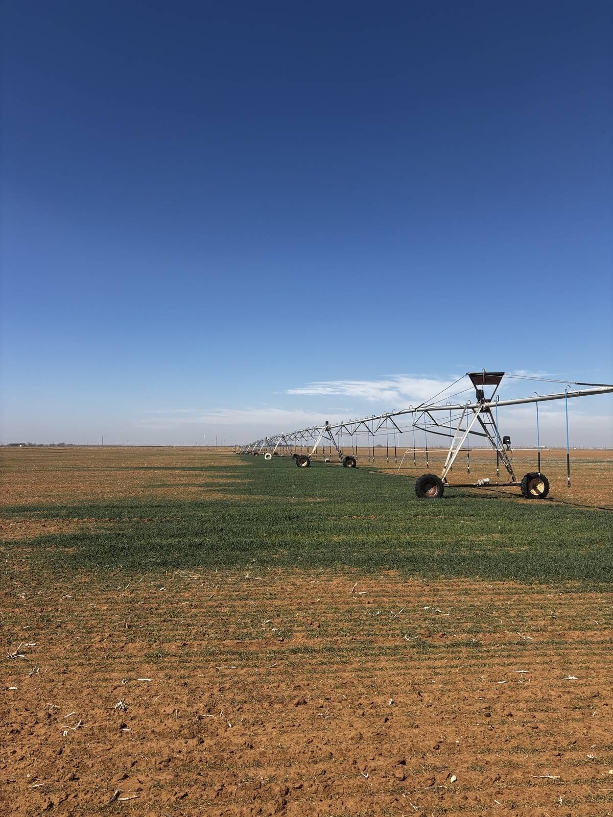 Irrigated Farmland with Water Wells